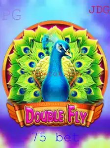 Descubra o Mundo Empolgante de DoubleFly: Instruções para Vencer